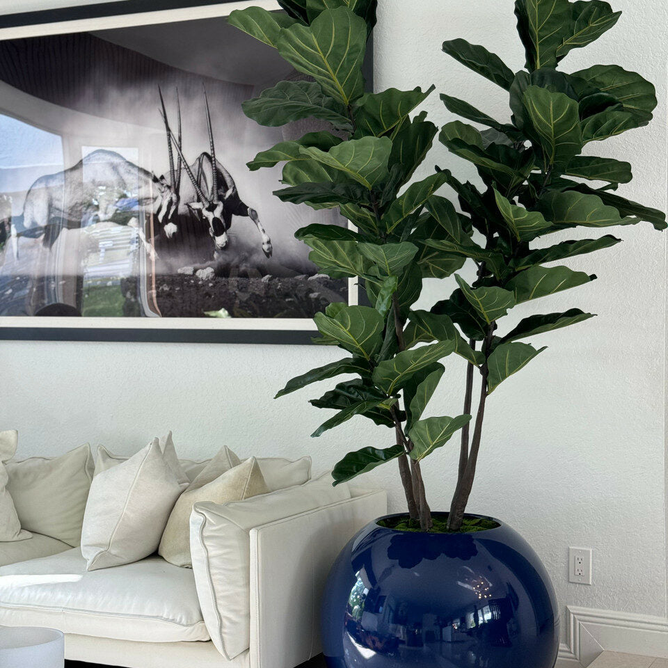 30″ blaue Kugelvase mit Geigenfeige