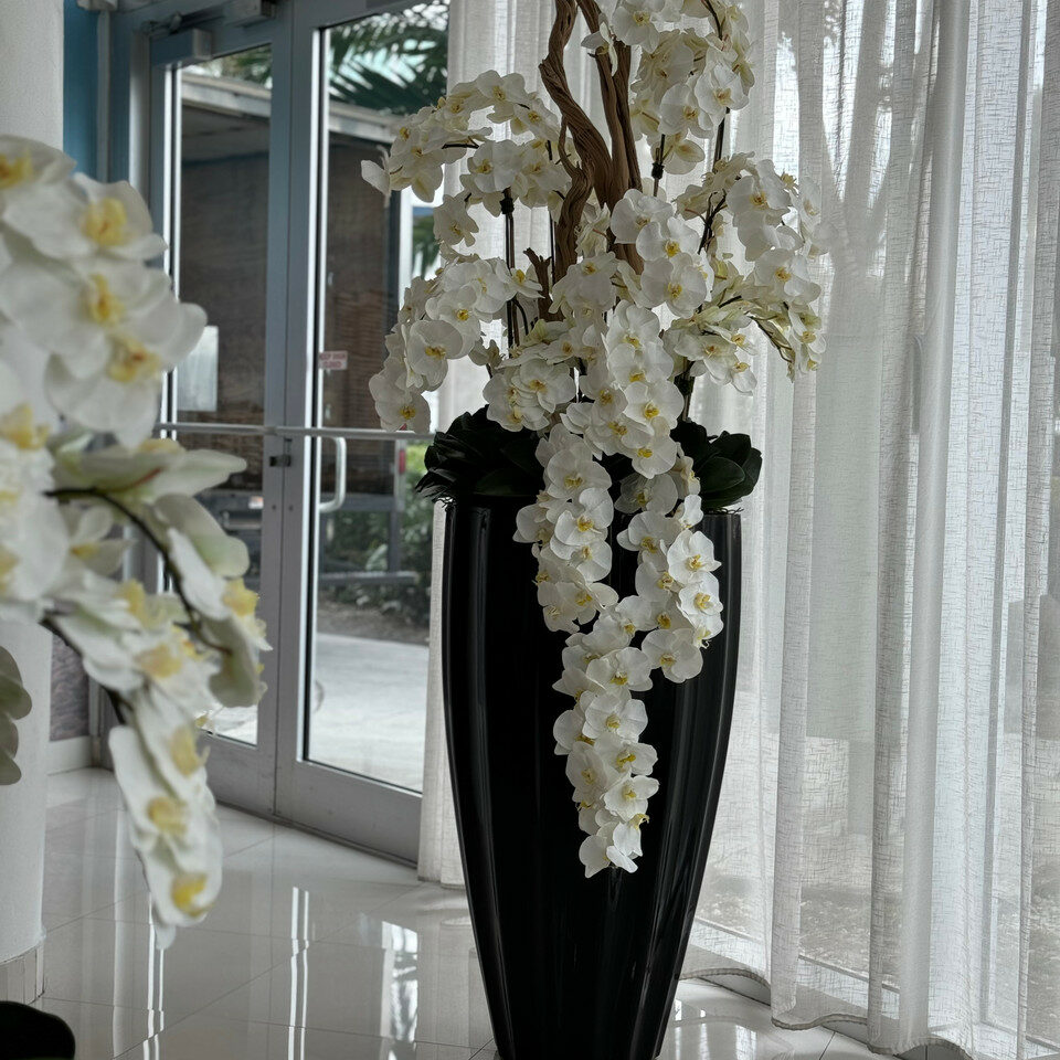 San Jose Vase in glänzendem Schwarz mit hängenden gelben Orchideen